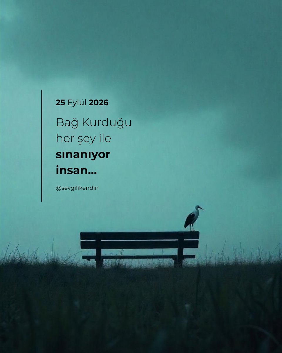 sevgilikendin's tweet photo. https://t.co/mjNa5KL8FY