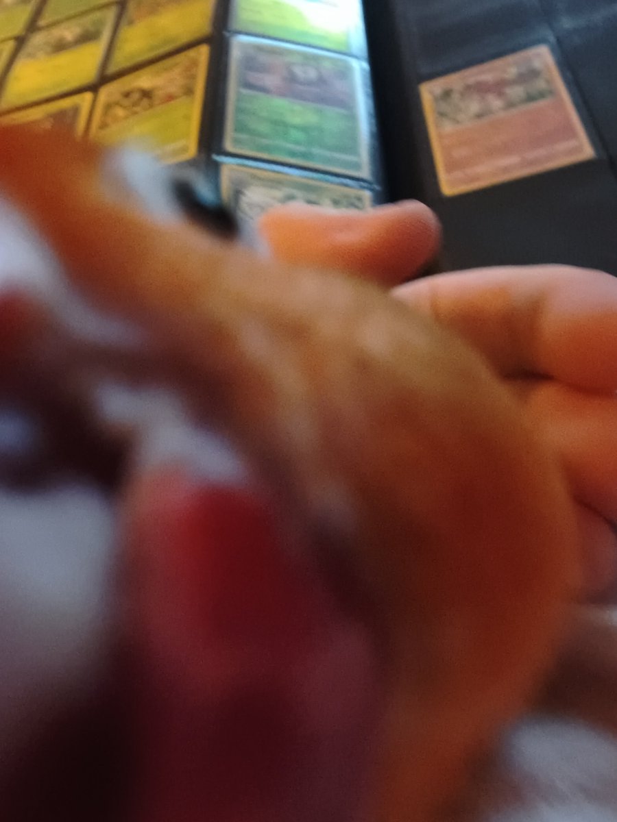 dykecupid's tweet photo. this is wicket she loves to snuggle and bite. she should become a tatari because she is cute and awesome and there need to be more birds. she loves being pet on the head so much that shes started going bald. she loves apple and sunflower seeds. #FromPetToTatari #ClashOfCritters https://t.co/uumBlFxLH8