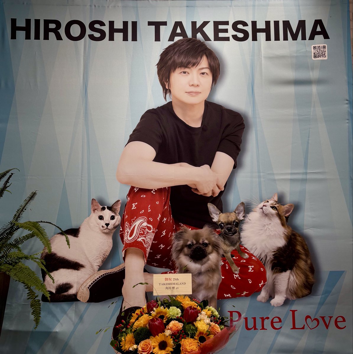 takeshima_staff's tweet photo. "花束"

ピペリカムの花言葉は

「きらめき」

9月26日 #くつろぎの日
僕のくつろぎ時間はミモザ、オモト、デイジー、ガジュマル 達と過ごす時間です。
皆さんのくつろぎ時間は？
#ひろネット #花便り https://t.co/YHof1xnLdQ