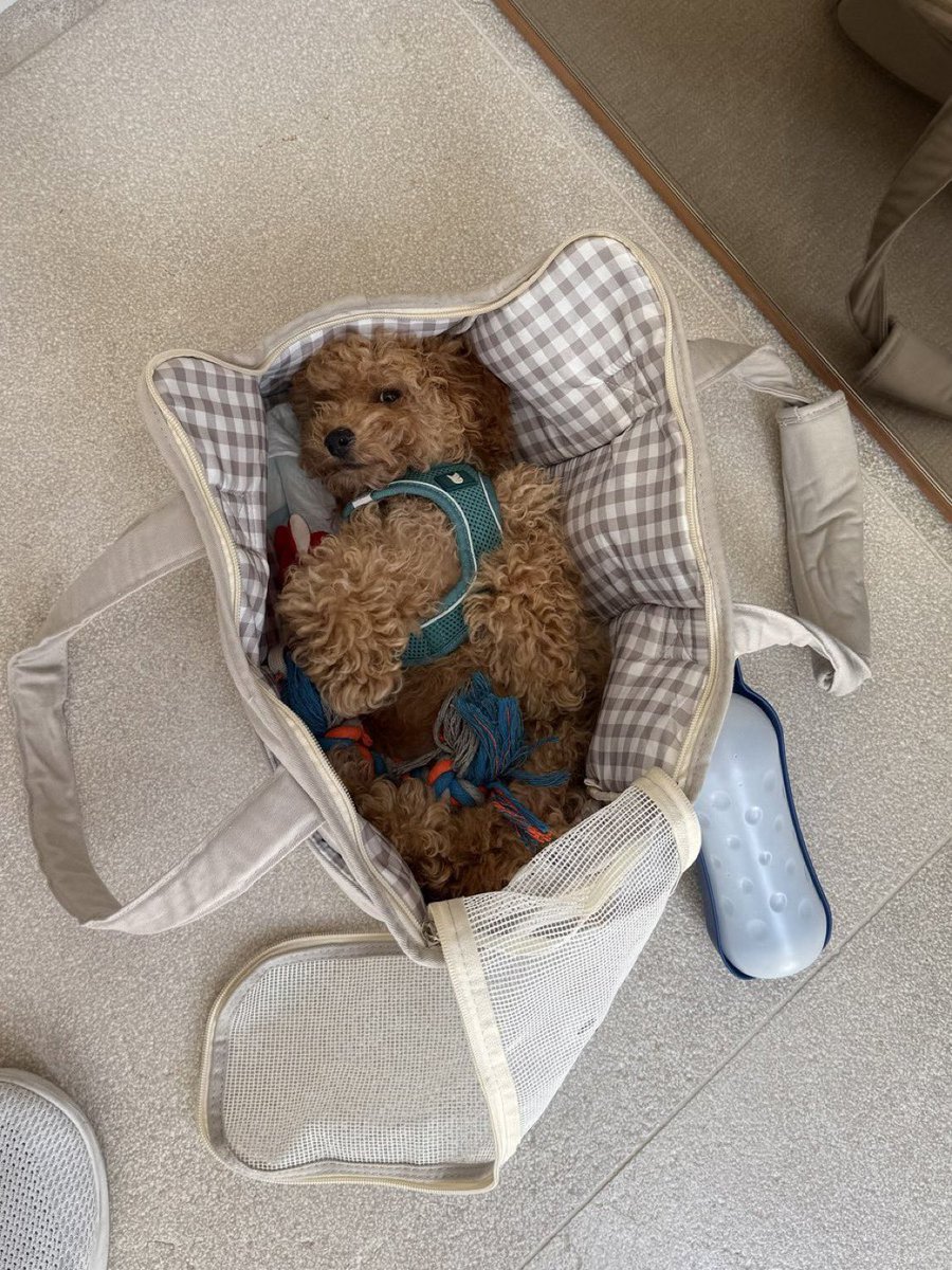 christlanreber's tweet photo. Successfully onboarded a new family member https://t.co/nhlYEL0wyS