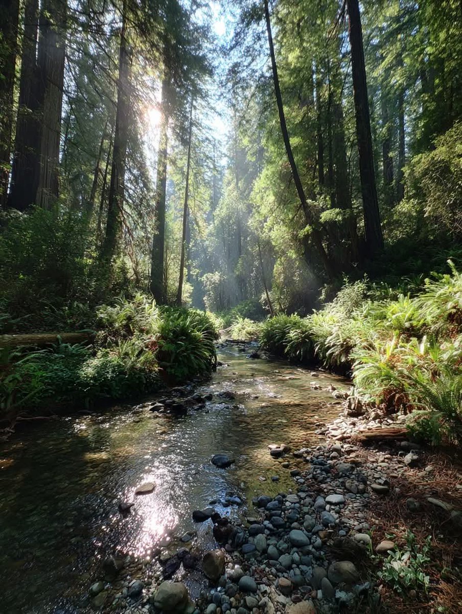 worldclick56's tweet photo. Forest hikes 🍃 https://t.co/DJYBetpauY