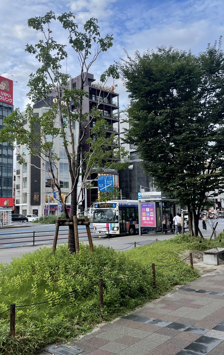 naanpoo_biglove's tweet photo. 似たような場所から撮ってみた。 https://t.co/yafpZcSTO5