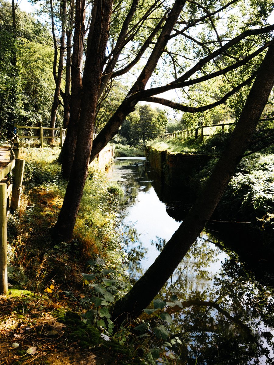 macintoshriver's tweet photo. Don’t think I can do this for much longer #35mm #ireland #eire #river #forest #autumn https://t.co/TNBYjb4XZ2
