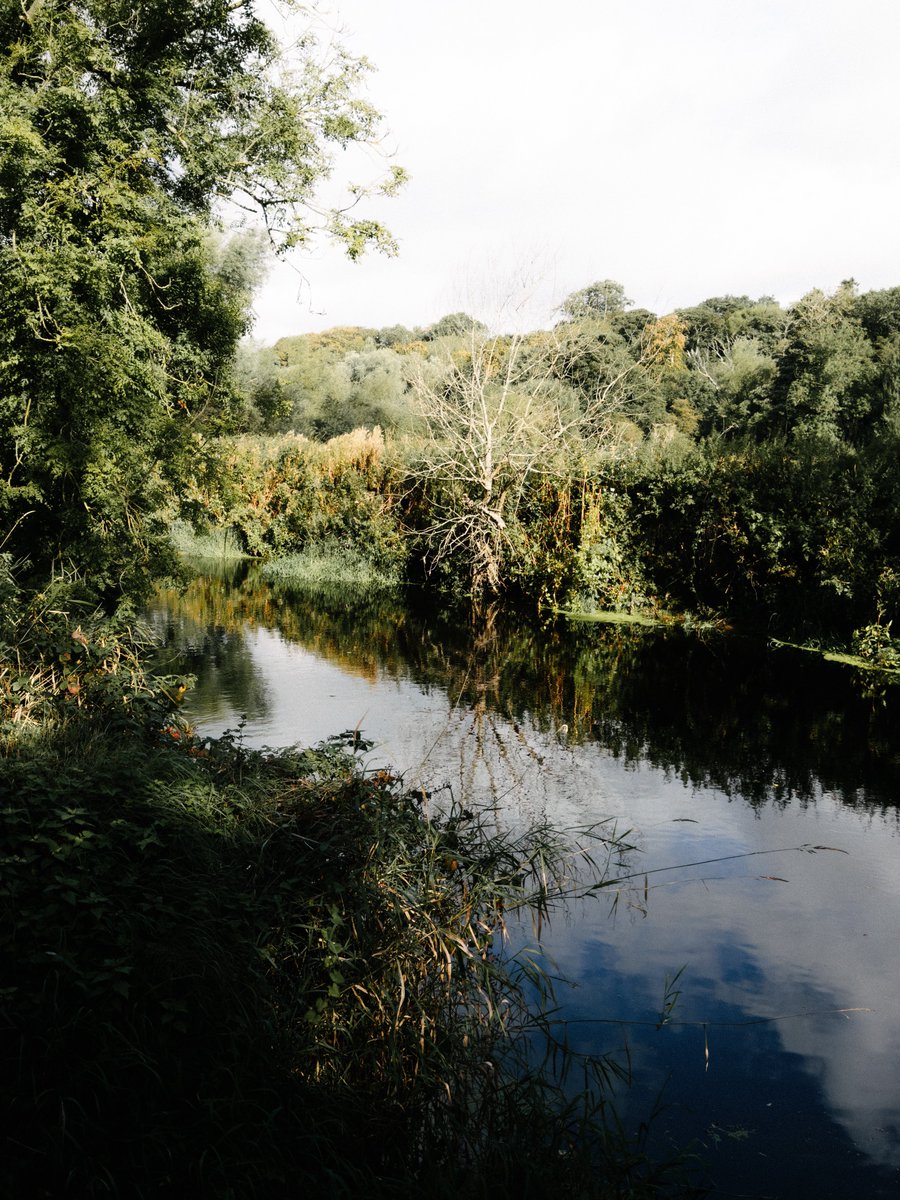macintoshriver's tweet photo. Don’t think I can do this for much longer #35mm #ireland #eire #river #forest #autumn https://t.co/TNBYjb4XZ2