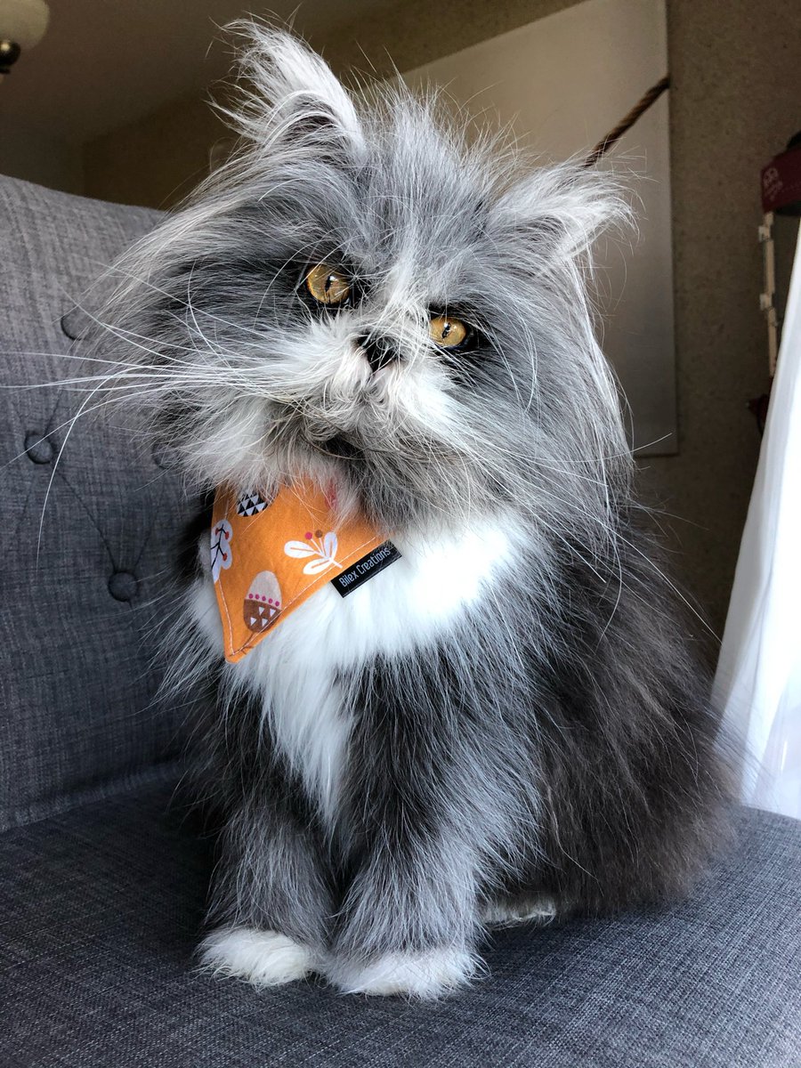 Atchoumthecat's tweet photo. Atchoum: I officially declare that fall has arrived! 🍁

Mom: Just a little reminder that fall actually arrived on September 23rd. 🙄
Atchoum: It may be Mother Nature who chooses the date, but I’m the one who decides when we start wearing little fall scarves. 🍁😎

Mom: 🙄🙄🙄 https://t.co/HJJsJVjrna