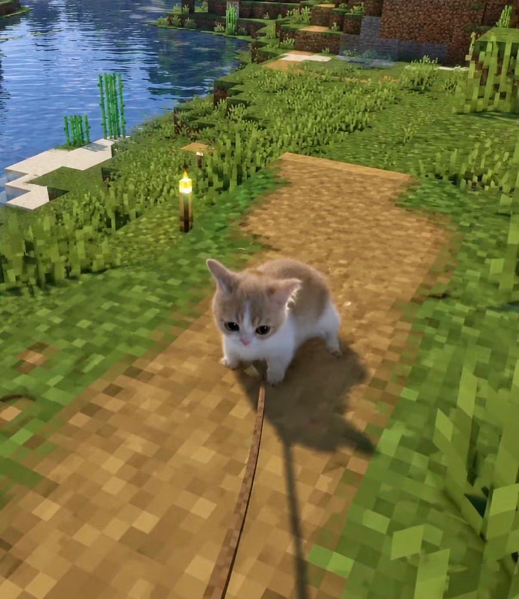 KittiesVids's tweet photo. minecatft https://t.co/uborKmMsUl