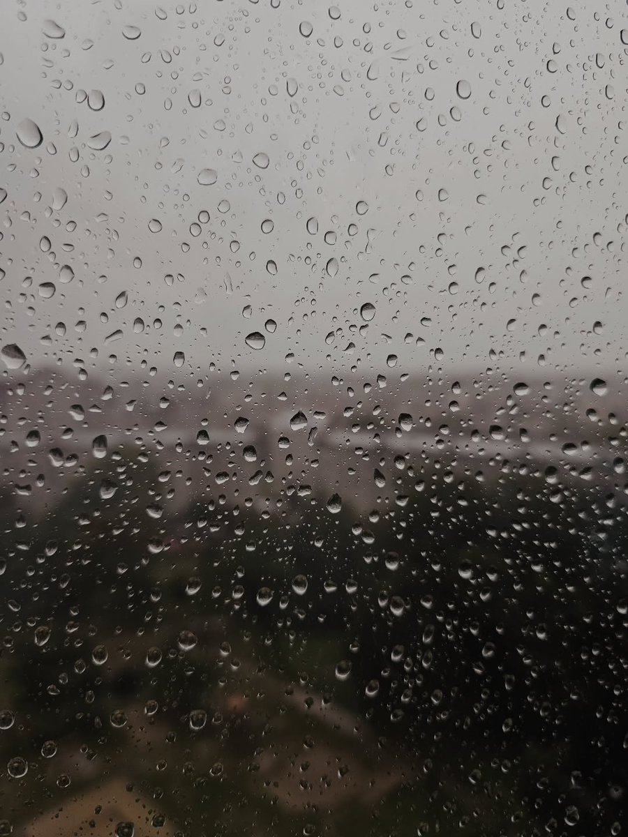 Tulayyoltay's tweet photo. 236/365 | ممطر 
كان الأسبوعان الأخيران مليئين بتقلبات المشاعر وإرهاق لا ينتهي. أحيي نفسي على الصمود. الآن أعد الأيام حتى نهاية سبتمبر، ثم نرى! https://t.co/VL1FapceP7