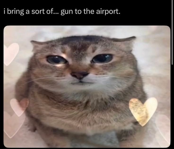 CatPosted's tweet photo. https://t.co/lAkbP3umYy