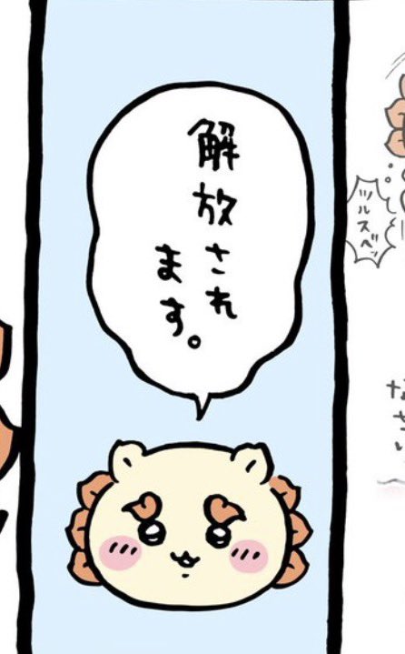 luvfji's tweet photo. @ngnchiikawa これが解放される顔なの、マジで可愛すぎる https://t.co/ZIlMeCjNNb