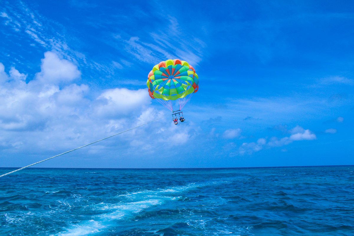ParasailAruba's tweet photo. "⭐️⭐️⭐️⭐️⭐️ 𝒘𝒊𝒍𝒍 𝒅𝒐 𝒂𝒈𝒂𝒊𝒏!"

🌐https://t.co/920toJjZ2A

🤩 $70 Parasailing
📸 $90 Parasailing with Photographer

#aruba #vacation #bucketlisttravel https://t.co/58VWBZekVn