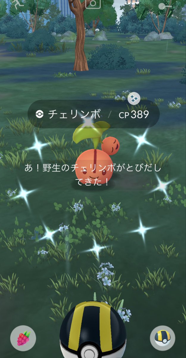 __soy_poke's tweet photo. ⠀
初めまして¨̮ ¨̮ ¨̮
チェリンボの色違い~🍒𓈒𓂂

 #ポケモンGO
 #Pokemon
  ⠀ https://t.co/vf5g3WtG8n
