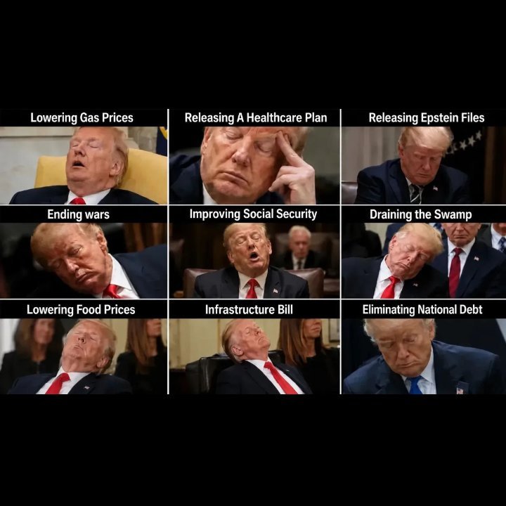 TheHumbleTroll's tweet photo. @DrunkRepub Look at all that fight! https://t.co/QkzBQNAsCF