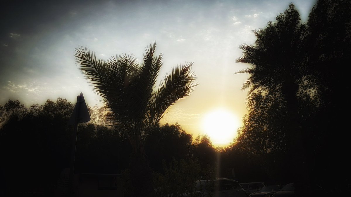 fjralss's tweet photo. أحب أشعة الشمس https://t.co/gcuLEbazHm