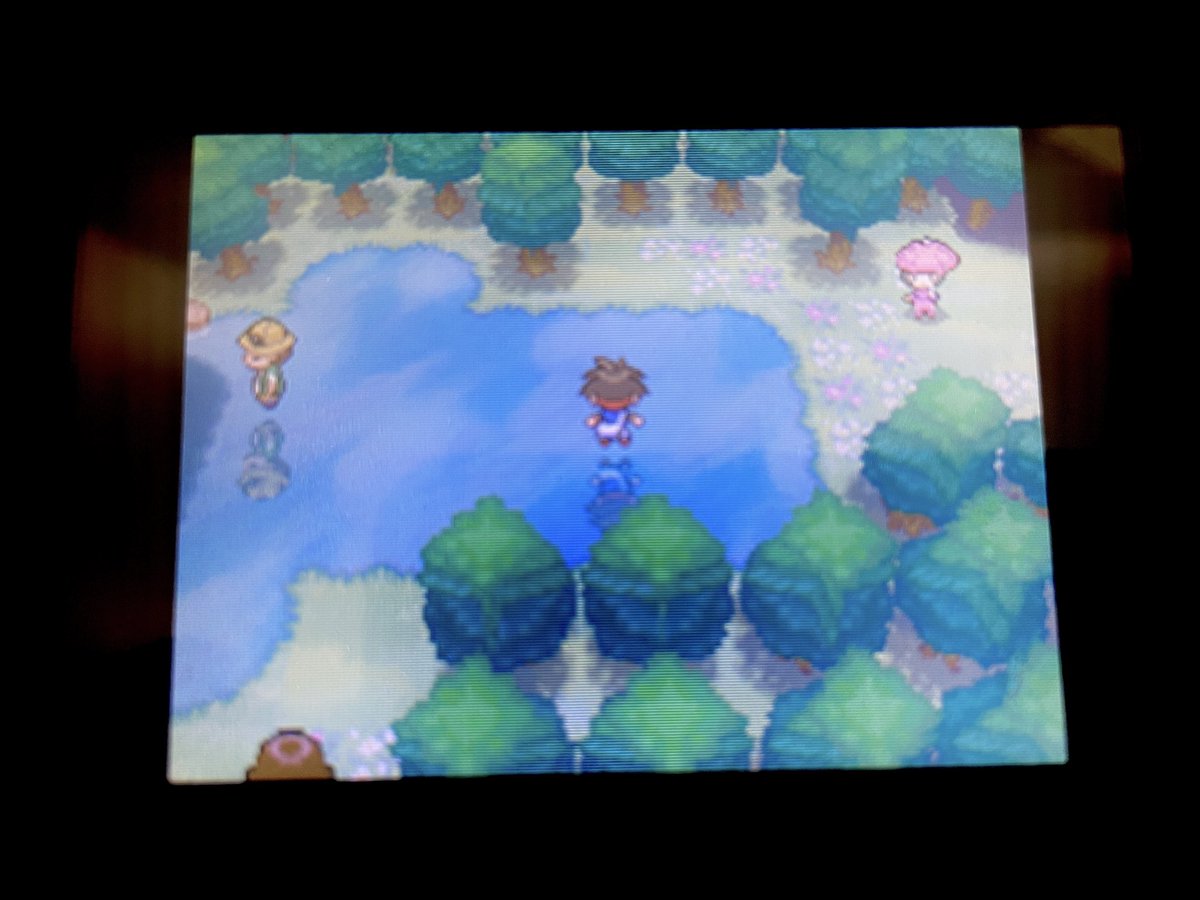 Allen_PRSEV's tweet photo. BWとBW2、エンカウント率高すぎるて(笑)
2歩進んだらポケモン出てくるで https://t.co/jsBdrJwV40
