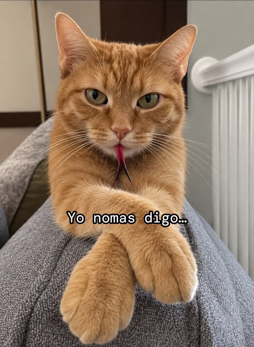 Animalesaprieto's tweet photo. Yo después de meter cizaña disfrazada de consejo: https://t.co/P9s9sAeSP6