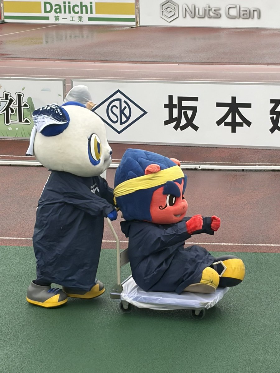 Tommy932932's tweet photo. 今日はここから！でした！
今日は湯友くんが台車に乗ってました
ハンドルを回していたので　#SUBARU
の車に乗っていたのかな😊かわいい🩷
#ザスパとスバル https://t.co/MB2vRy7nEL