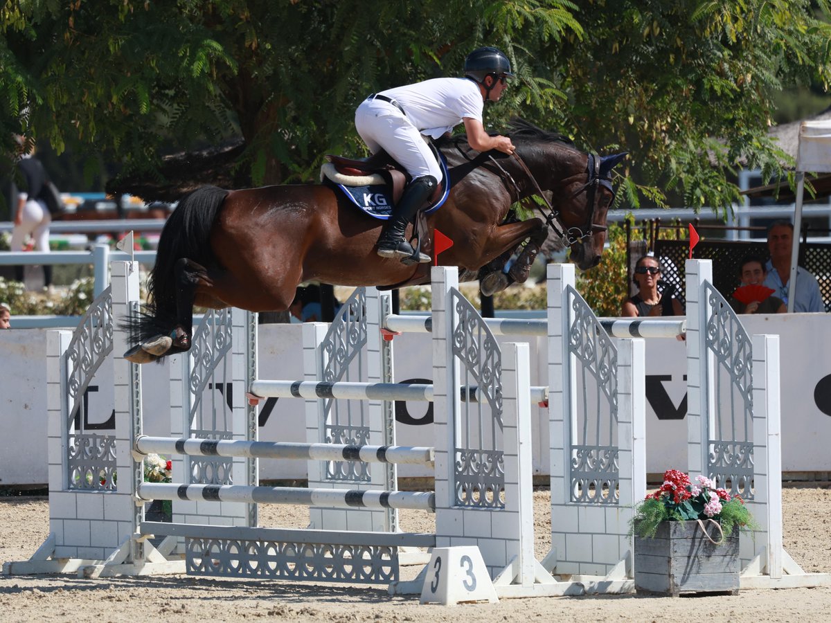 HipicaRCPineda's tweet photo. Álvaro González de Zárate y Mariano Martínez Bastida comparten victoria ex aequo en 1.45, prueba principal de la 2ª jornada del CSN5* de la Ruta de Otoño.
Álvaro González ha hecho doblete al conseguir el triunfo en la prueba de 1.40.
¡Enhorabuena! 🏆
#RCPineda #RutadeOtoño2026 https://t.co/Ftq3jW5Zxm