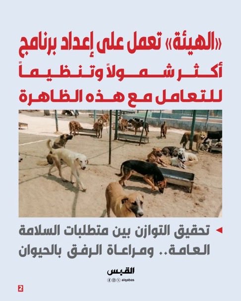falehalkhudair1's tweet photo. الشعب يقول للهيئة
طيب والنتيجه ؟؟؟
الناس قاعده تموت 
من الكلاب الضالة
لازم في قرار صارم
الناس تبي حل ياحكومة
وشكراً
. https://t.co/puuBFrsxQ0