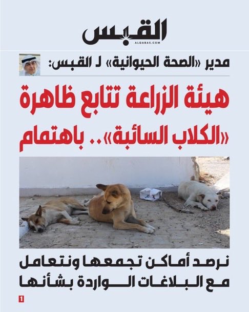falehalkhudair1's tweet photo. الشعب يقول للهيئة
طيب والنتيجه ؟؟؟
الناس قاعده تموت 
من الكلاب الضالة
لازم في قرار صارم
الناس تبي حل ياحكومة
وشكراً
. https://t.co/puuBFrsxQ0