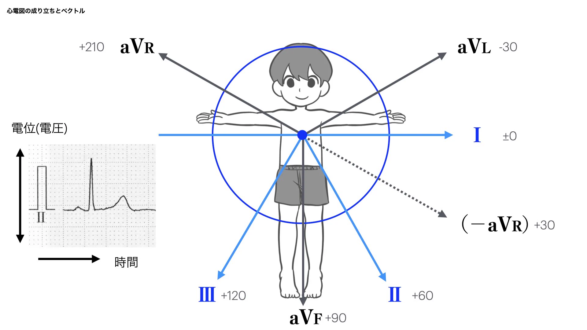 N. Tsukishima EP大学心電図検定学部試験対策科担任 on X: 