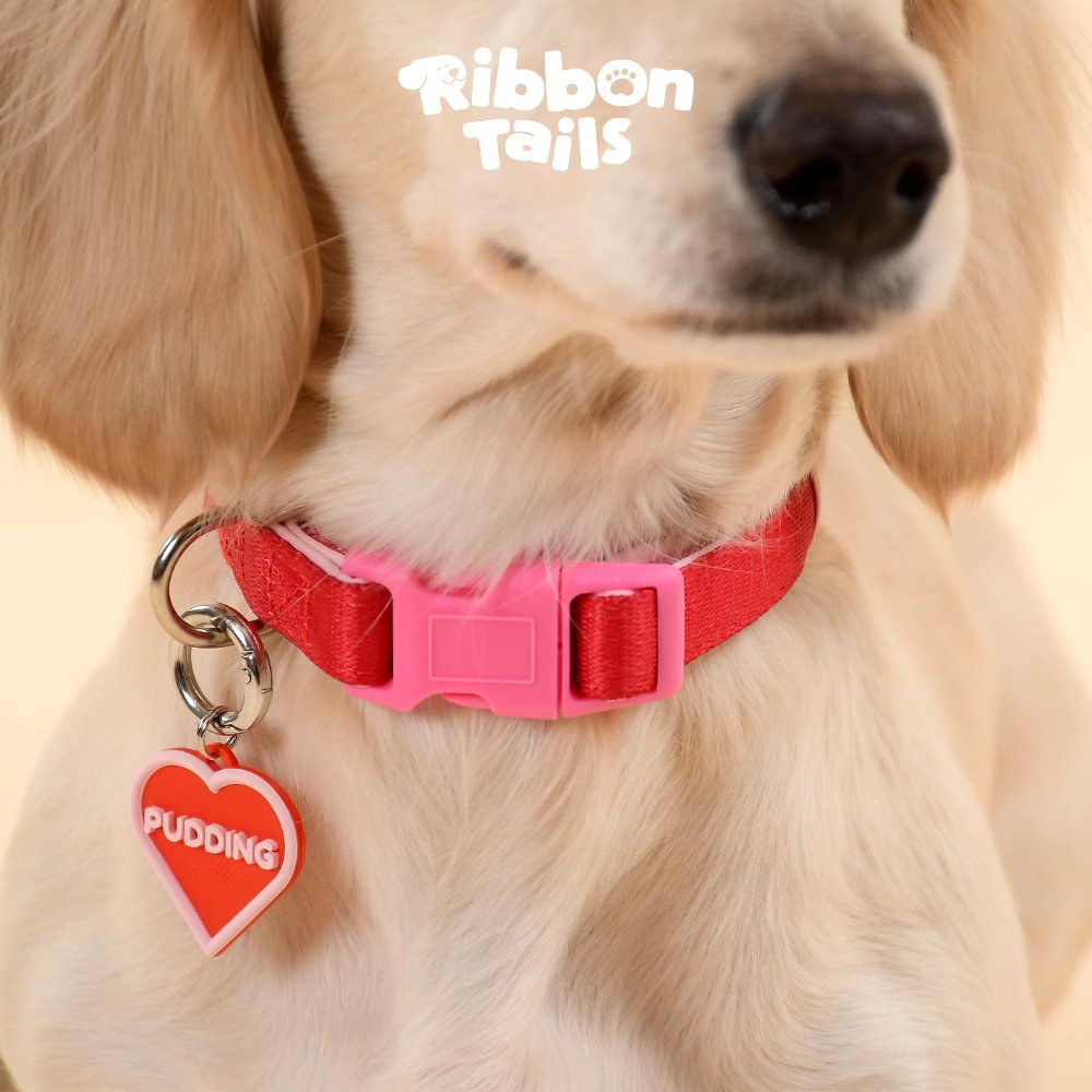 TTW56035627's tweet photo. RibbonTails ปลอกคอเลือกทรงและใส่ชื่อน้องได้ตามใจชอบ สลักชื่อน้องได้ชัดเจน ทรงสวย สีเด่น ถ่ายรูปมุมไหนก็ปัง เพิ่มความน่ารักให้เจ้าสี่ขาไปอีกสิบคะแนนเต็ม! 🐶🐱💖
พิกัด : https://t.co/7HsneyL84v
#RibbonTails #ปลอกคอ #ปลอกคอแมว #ปลอกคอหมา #ป้ายชื่อสัตว์เลี้ยง #ทาสแมว #ทาสหมา #หมา https://t.co/3nTkGmjn0r