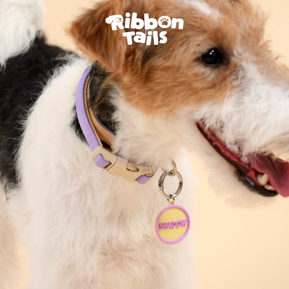 TTW56035627's tweet photo. RibbonTails ปลอกคอเลือกทรงและใส่ชื่อน้องได้ตามใจชอบ สลักชื่อน้องได้ชัดเจน ทรงสวย สีเด่น ถ่ายรูปมุมไหนก็ปัง เพิ่มความน่ารักให้เจ้าสี่ขาไปอีกสิบคะแนนเต็ม! 🐶🐱💖
พิกัด : https://t.co/7HsneyL84v
#RibbonTails #ปลอกคอ #ปลอกคอแมว #ปลอกคอหมา #ป้ายชื่อสัตว์เลี้ยง #ทาสแมว #ทาสหมา #หมา https://t.co/3nTkGmjn0r