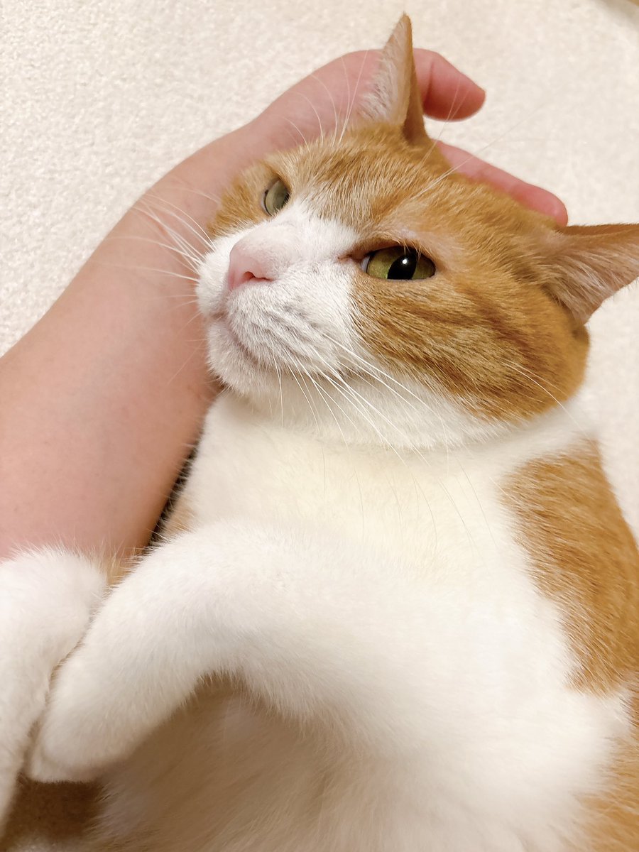 9i_7a_5o's tweet photo. 大好き！！大好き！！！！、！ https://t.co/HWrFsrrR3i