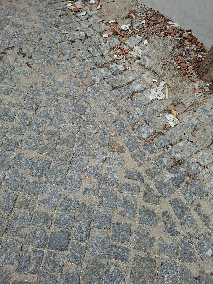 feefifofumfloor's tweet photo. testing 1 2 3 floor https://t.co/btBlqKc5hr