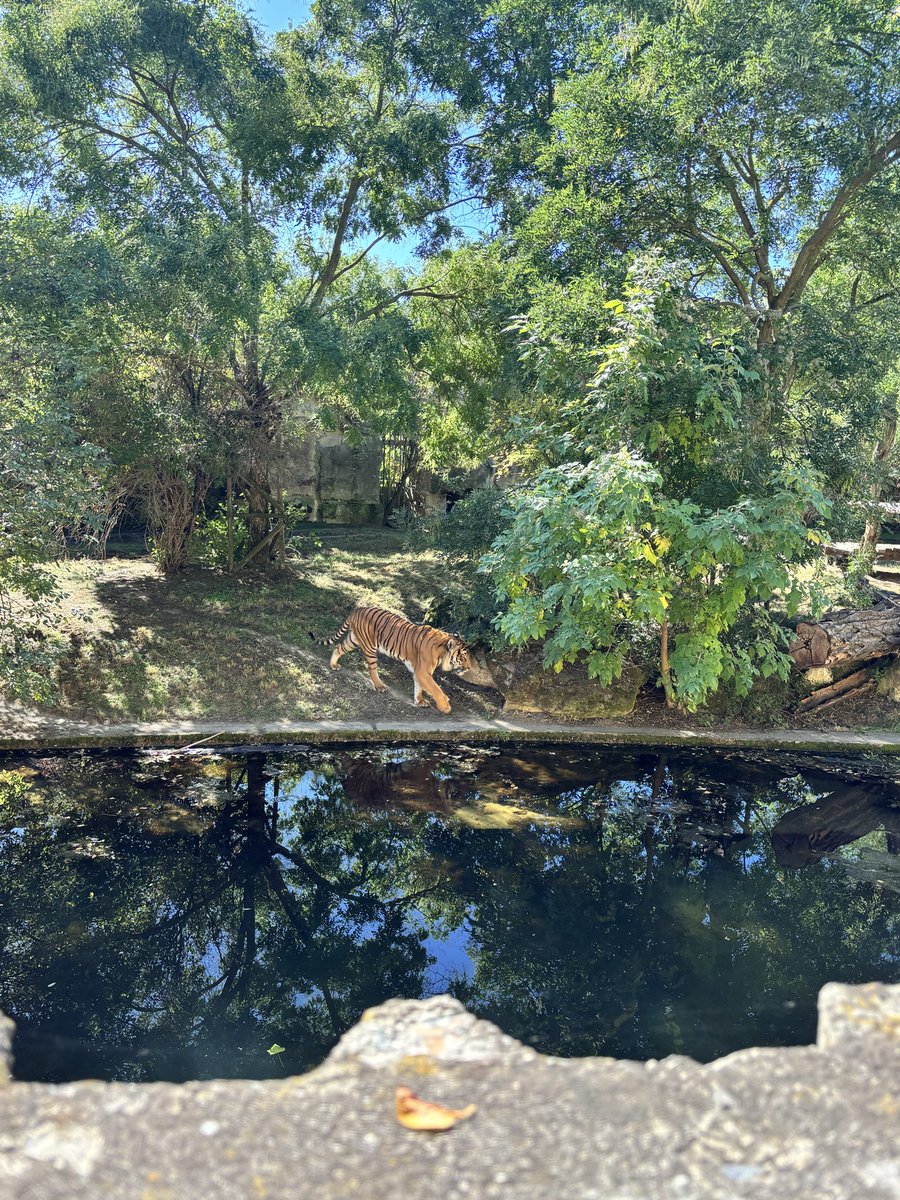 urkittenmiu's tweet photo. i was at the zoo all day^^ so should i post smt more later ?^^ https://t.co/4DUFXJLsU9