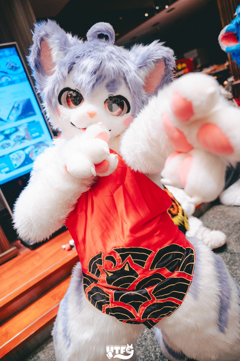 YuanYuan_Meoww's tweet photo. 中秋節快樂！🌕
📷 @loniceradc66 https://t.co/F7Lxt0sWez