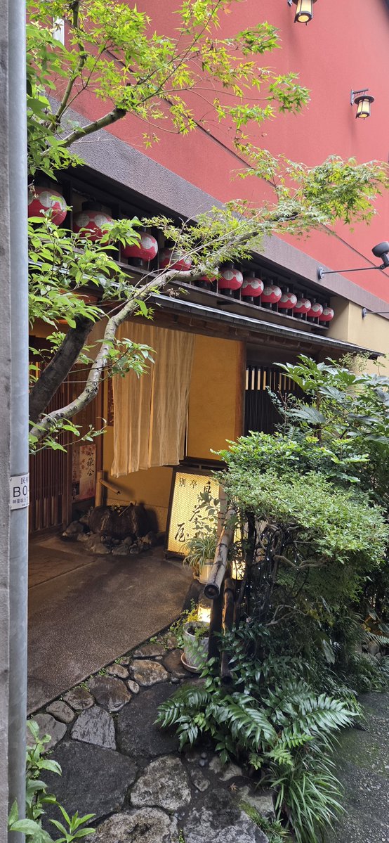 karahanami's tweet photo. お昼は親子丼。ここ来たの15年ぶりくらい😳前は平日限定でデザートも無かった気がするんだけど、檸檬ゼリー美味しかった✨️親子丼は出汁濃いめ甘め、玉ねぎは無し、ご飯との間に刻み海苔敷いてて良い風味で美味しかったです💖寒くなったらうどんすきも食べてみたい✨️ https://t.co/13EwJXHDBM