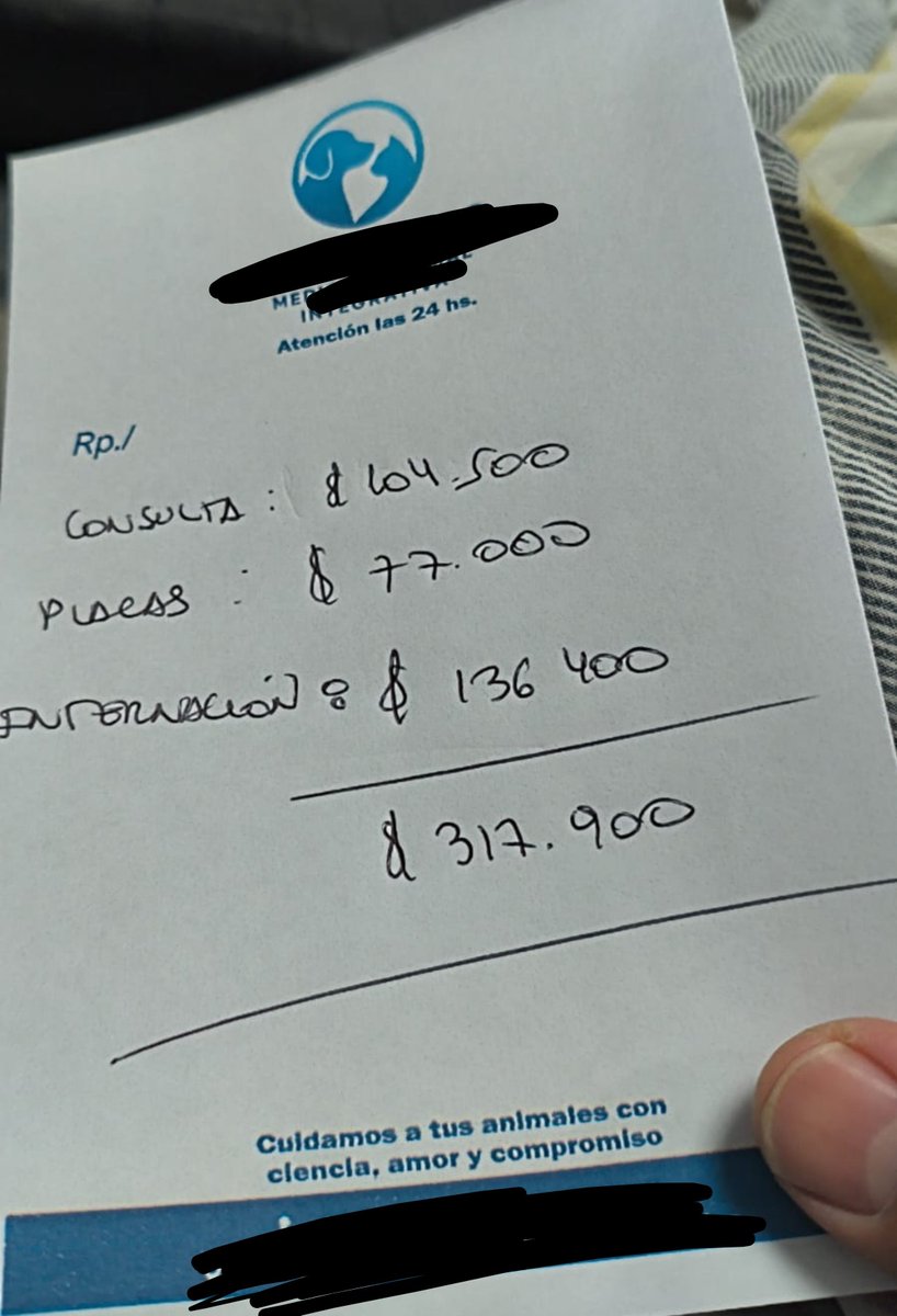 vivalachipa's tweet photo. Mi perra fue atropellada ayer, ahora está internada, tiene hemorragia pulmonar, tengo que pagar un vendaje que le pusieron y otra internación para hoy dependiendo como avanza, si podrían ayudarme porfavor+ https://t.co/kDfFUwZpfp