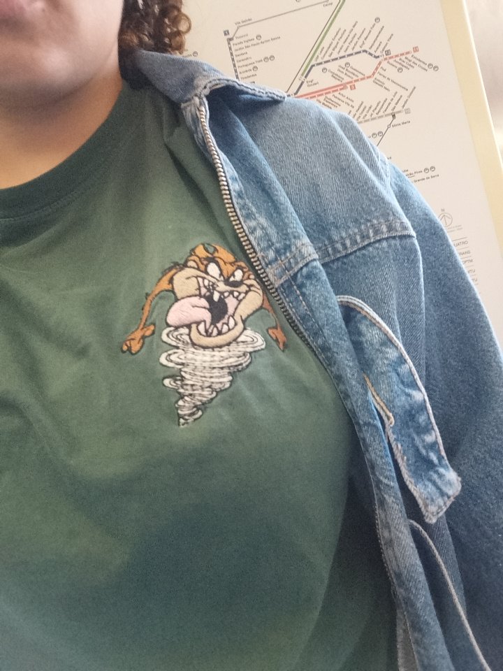 umnerdqualque's tweet photo. Em homenagem o finado álbum anti-heroi hj estou com a minha jaqueta jeans um jeans e um all star e uma tristeza no olhar (sono e dor na garganta de tanto gritar hj https://t.co/CUrsKI2j5Q