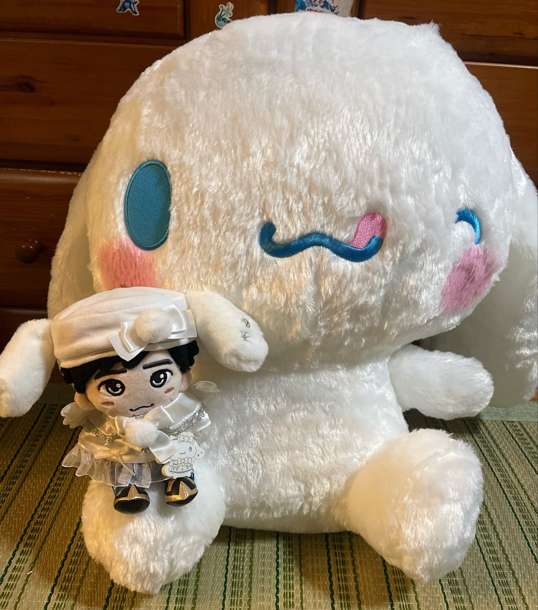 rei38's tweet photo. ゲーセンででっかいシナモンくん獲れてしまって神 https://t.co/kNKZ1pGAc8