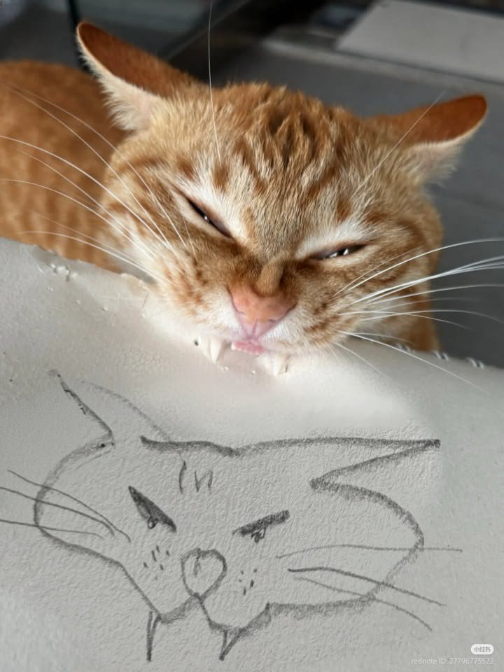 beautywallss's tweet photo. I drew it myself 😺🐾 https://t.co/nyifLFsHhg