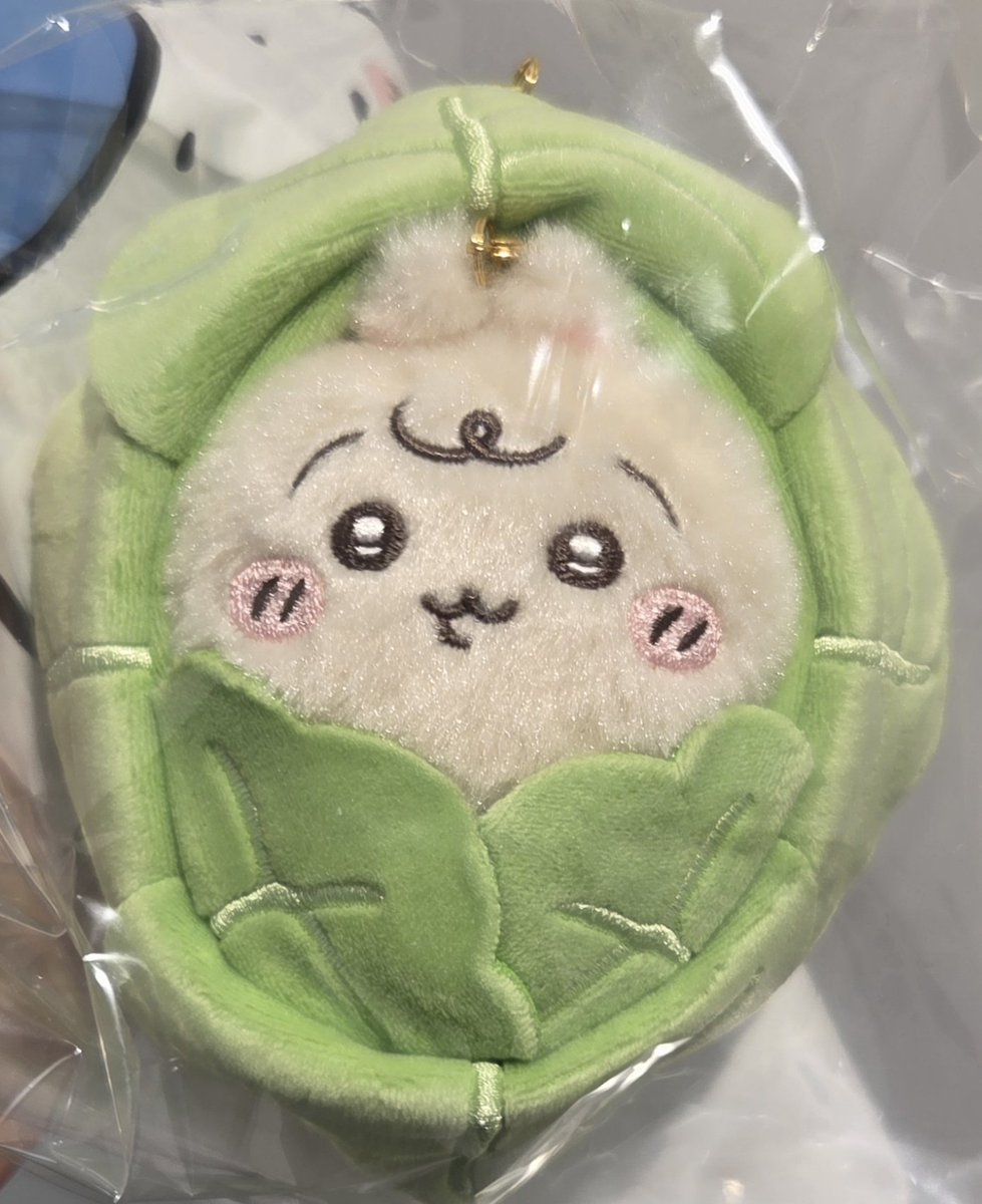 karahanami's tweet photo. そして初!ちいかわSHOPにも行ってきましたよ。ハロウィンの枝豆欲しかったんだけど新作は予約無いと買えなかったよ…そりゃそうだよな…しかしキャベツがめちゃかわ過ぎてお迎えしちゃったよ…癒される😂✨️ https://t.co/9cXlnJg9MU