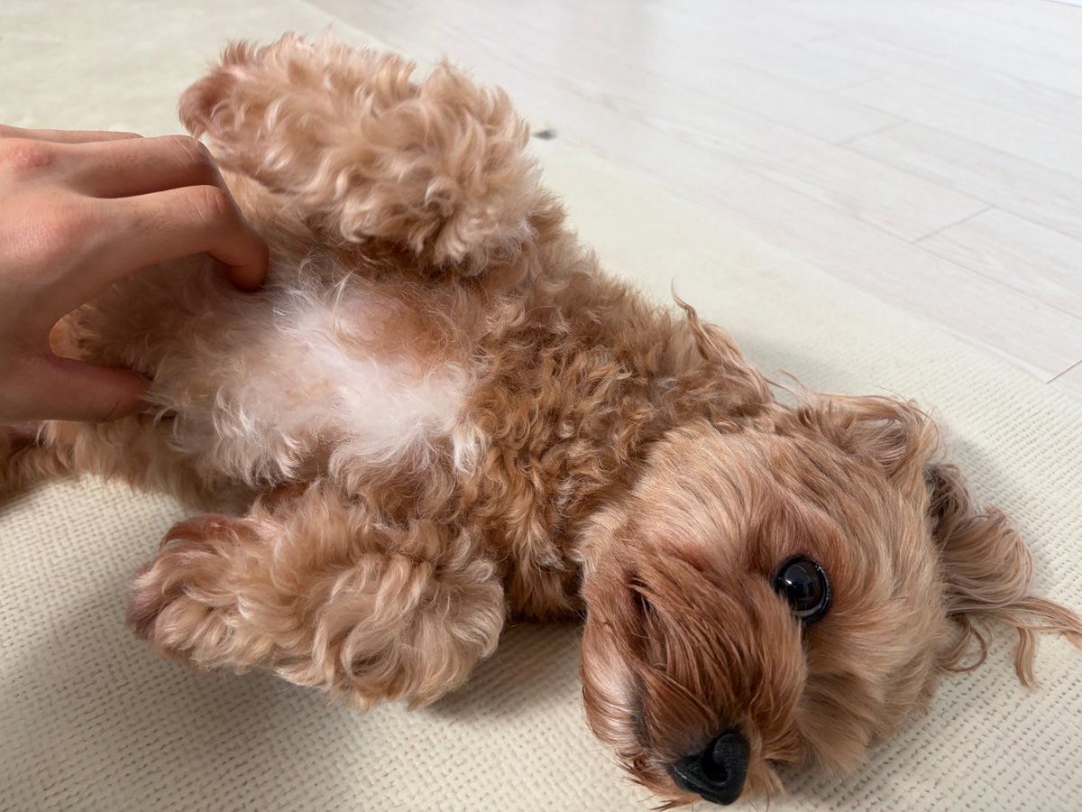 idmaruu's tweet photo. 260926 위드팬 #이규혁 https://t.co/rIPqQzG3cN