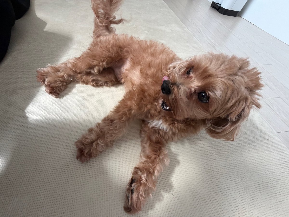 idmaruu's tweet photo. 260926 위드팬 #이규혁 https://t.co/rIPqQzG3cN