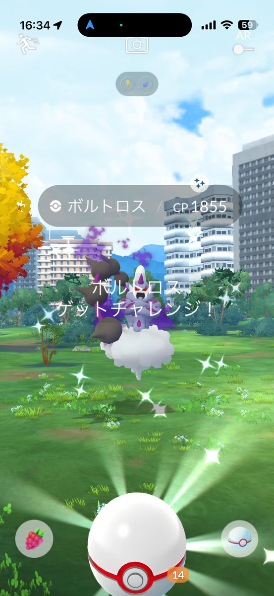 XYZ_D's tweet photo. ここ最近の色違い。イベントごと、ありがたいことに出てくれてます。しかし、今出てるデンジュモクは色違い持ってないんすよね…。
#ポケモンGO https://t.co/2UDi9GVQxy
