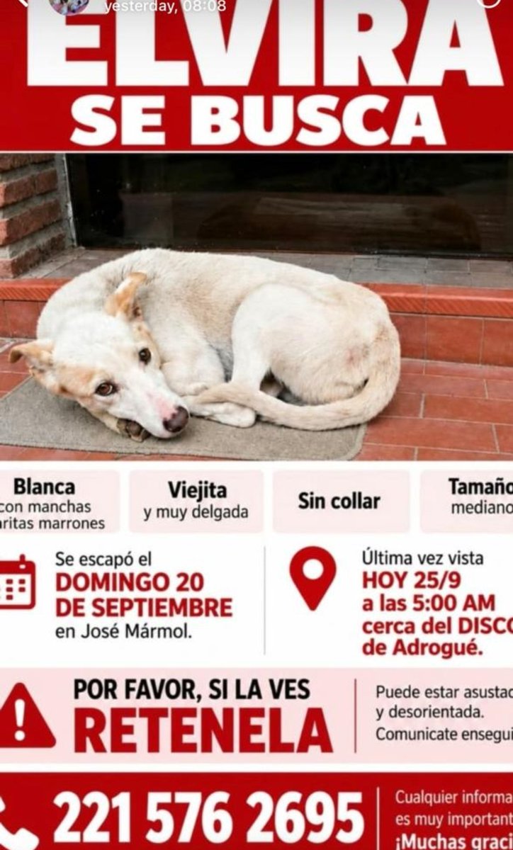 paraellostodo's tweet photo. https://t.co/oEPTuWZb2Y