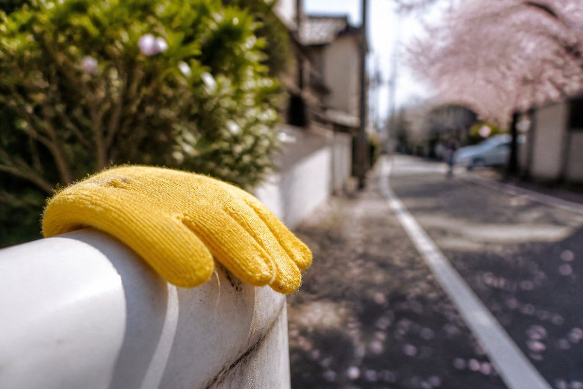 japan_nobunaga's tweet photo. Walk through Tokyo, Kyoto, or any tiny mountain village in Japan.
Keep your eyes on the street-level fences, guardrails, and hedges.

Soon, you will spot something bizarre.

Perched carefully on top of a steel fence post,
or tied gently to the top rung of a guardrail,
will be a single, colorful toddler's knit mitten.

Or a tiny pink sneaker.
Or a house key on a cartoon lanyard.
Or a commuter transit card.

It wasn't thrown there by a vandal.
It wasn't collected by sanitation workers.

Here is what happened twenty minutes earlier:
A complete stranger was walking down that sidewalk.
They looked down and saw a dropped child's glove lying in the mud.

In most countries, people step on it.
Or kick it into the gutter.
Or pick it up, realize it has zero financial value, and throw it away.

In Japan, that stranger stopped.
They picked up the mitten.
They took out a tissue and wiped the wet grime off the wool.

Then, they did not pocket it.
They looked around for the nearest elevated surface —
a flat fence post, a tree branch, the top pipe of a guardrail.

They placed the mitten upright at exact eye level.

Why?

Because they know that three blocks away,
an exhausted mother with a stroller just realized her baby lost a mitten.
She will turn around in tears, retracing her steps in the cold.

And when she walks back down that street,
she will not have to search the dirty ground in despair.

She will look up,
and see her child's little glove waiting for her,
lifted into the sunlight by hands she will never meet.

True culture is not measured by the height of your skyscrapers.

It is measured by how high you lift a stranger's dropped glove
so they can find their way home.