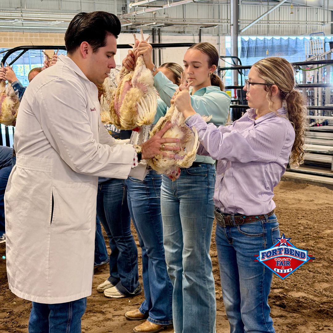 fbcfair's tweet photo. Good luck to our Broiler exhibitors this morning. #fbcfair90 #fbcf #fortbendcountyfair #fairtime #fairdays #PromotingFamilyYouthAgriculture #fairszn🎡 https://t.co/SEEt7uJLd1