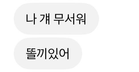8bcis's tweet photo. 님들 저 진짜 똘끼 있어요…? ㅜㅜ https://t.co/dzK0iL15x1