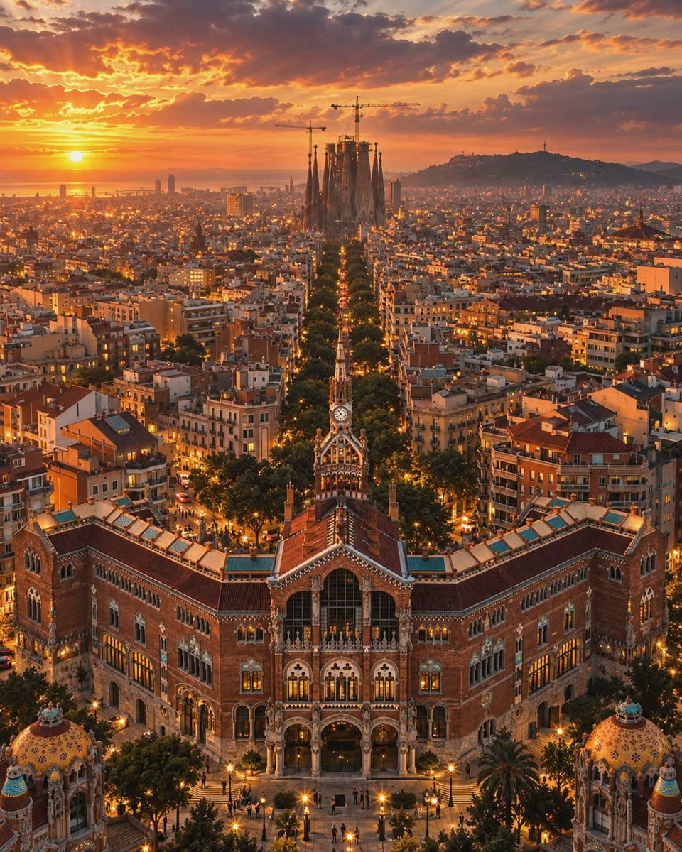 NatureRoot88's tweet photo. Barcelona, Spain 🇪🇸 https://t.co/ZAo1Ha7WyB
