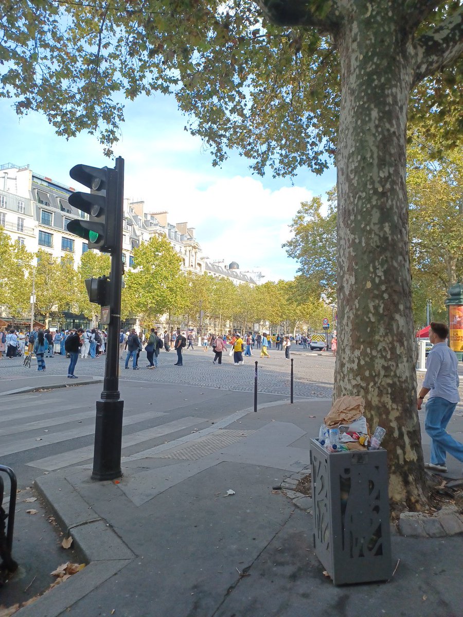 CarlosEdr2's tweet photo. Dispersion dans le calme après la messe... Les chrétiens savent utiliser les poubelles. L'avenue est nickelé ! https://t.co/Q4lAym3SHp