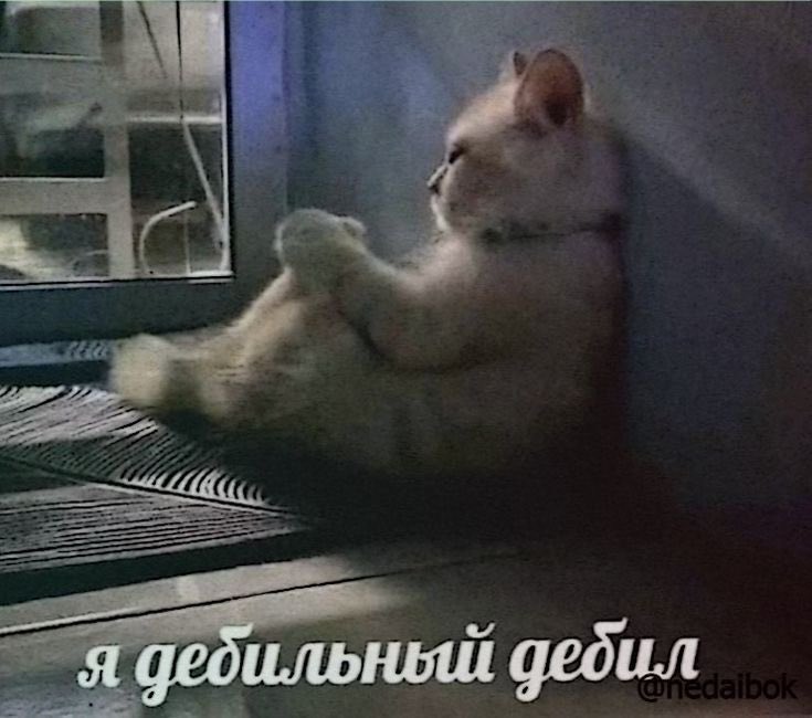 zzzzsofaa's tweet photo. https://t.co/25Izo8lghF