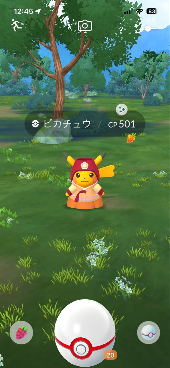 ku2icj's tweet photo. ほんとに招待してくれてありがとう😭
出なかったら切腹案件でした、、、

#ポケモンGO https://t.co/JPwHFni99c