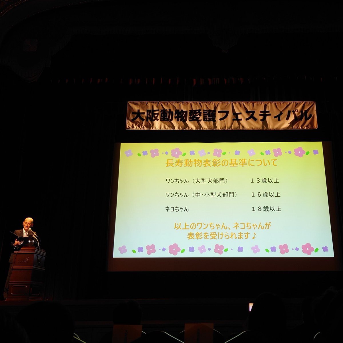 karaage001's tweet photo. 17歳の愛犬が大阪市中央公会堂にてご長寿表彰されました。落語家の林家卯三郎さんがご長寿動物さんの名前とコメントを読み上げてくださり、みなさんの可愛さ・頑張り・飼い主さんとの絆と大きな愛に涙腺崩壊。とてもあたたかなイベントでした。
#大阪動物愛護フェスティバル https://t.co/gtCqhwkoG9