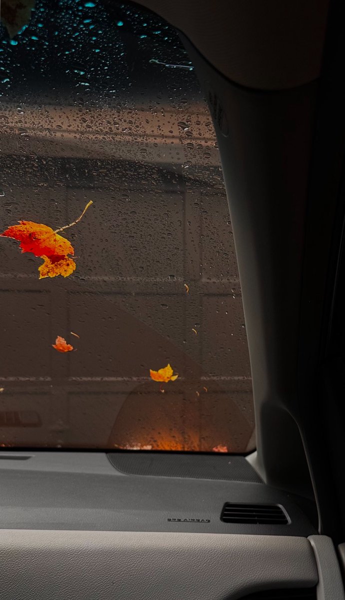 toqa_badran's tweet photo. 26 eylül 🌧️🍁🍂 https://t.co/bBp9kWFDYr