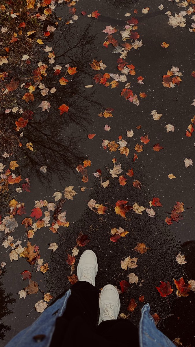 toqa_badran's tweet photo. 26 eylül 🌧️🍁🍂 https://t.co/bBp9kWFDYr